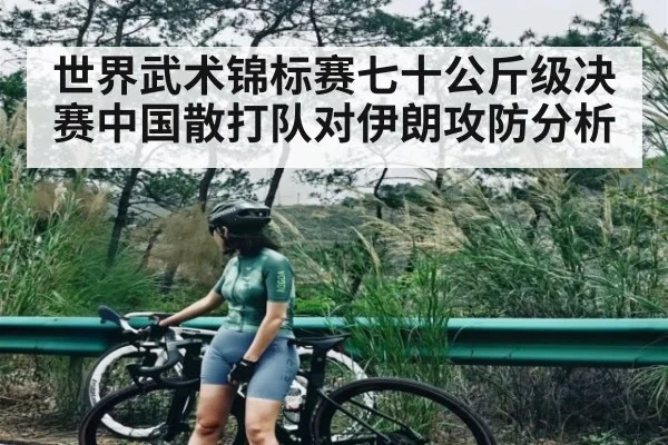 世界武术锦标赛七十公斤级决赛中国散打队对伊朗攻防分析