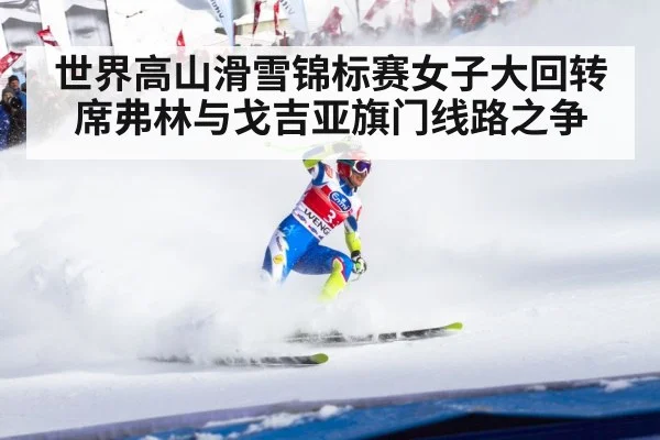 世界高山滑雪锦标赛女子大回转席弗林与戈吉亚旗门线路之争