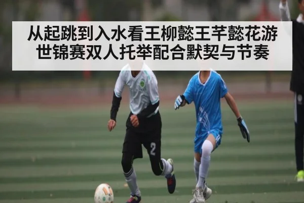 从起跳到入水看王柳懿王芊懿花游世锦赛双人托举配合默契与节奏